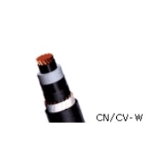 22.9kV 동심중성선 수밀형 전력케이블(CN/CV-W)
