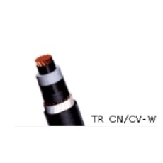 22.9kV 동심중성선 트리억제형 전력케이블(TR CN/CV-W)