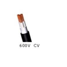 600V XLPE절연, PVC시스 전력케이블(CV)